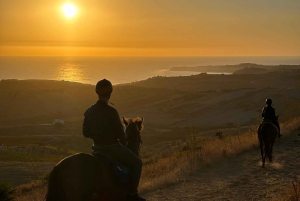 Romantisk opplevelse med hester i naturreservatet WWF