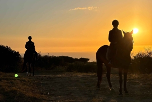 Romantisk opplevelse med hester i naturreservatet WWF