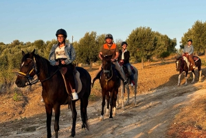 Romantisk opplevelse med hester i naturreservatet WWF