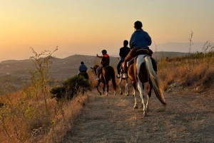 Romantisk opplevelse med hester i naturreservatet WWF