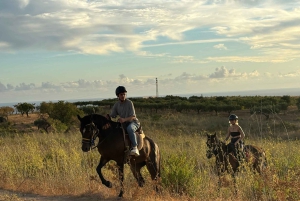 Romantisk opplevelse med hester i naturreservatet WWF