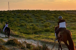 Romantisk opplevelse med hester i naturreservatet WWF