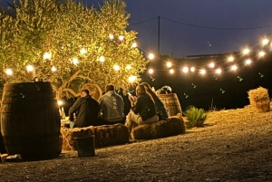 Romantisk opplevelse med hester i naturreservatet WWF