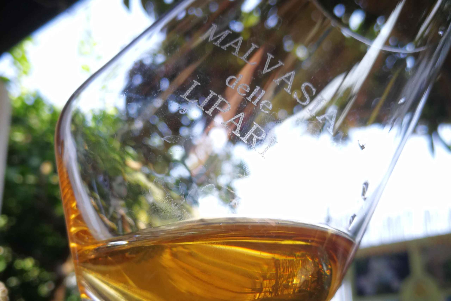 Experiência Salina Capers