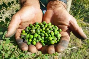 L'expérience de Salina Capers