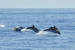 Salina Panarea Stromboli om natten