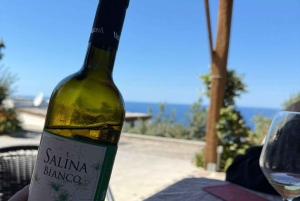 Salina: degustacja wina i brunch w posiadłości w Malfa