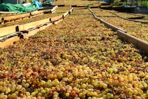 Salina: degustacja wina i brunch w posiadłości w Malfa