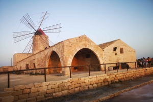 Saline di Trapani: 2h 30min Salt Tour