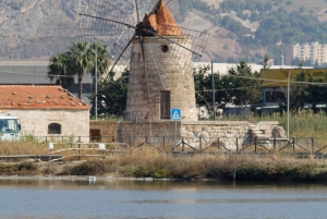 Saline di Trapani: 2h 30min Salt Tour