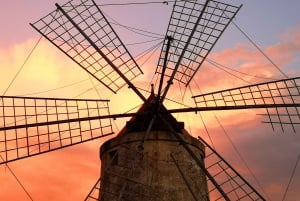 Saline di Trapani: 2,5-stündige Salztour