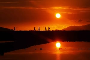 Saline di Trapani: 2,5-stündige Salztour