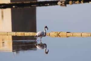 Saline di Trapani: 2,5-stündige Salztour