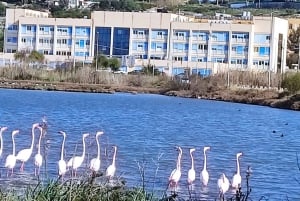Saline di Trapani: 2,5-stündige Salztour