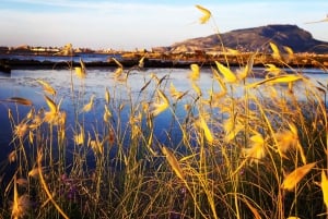 Saline di Trapani: 2,5-stündige Salztour