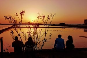 Saline di Trapani: 2,5-stündige Salztour