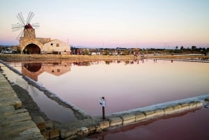 Saline di Trapani: 2,5-stündige Salztour