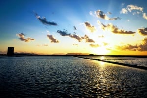 Saline di Trapani: 2,5-stündige Salztour