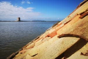 Saline di Trapani: 2,5-stündige Salztour