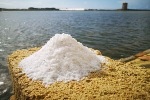 Saline di Trapani: 2,5-stündige Salztour