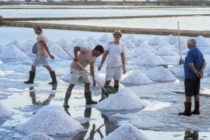 Saline di Trapani: 2,5-stündige Salztour