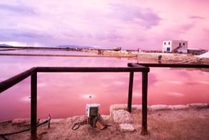 Saline di Trapani: 2,5-stündige Salztour