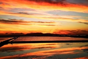 Saline di Trapani: 2,5-stündige Salztour