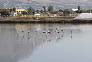 Saline di Trapani: 2,5-stündige Salztour