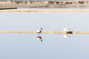 Saline di Trapani: 2,5-stündige Salztour