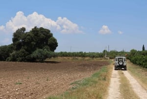 Sambuca di Sicilia e Lago Arancio - Off Road Tour 4x4 da Sciacca