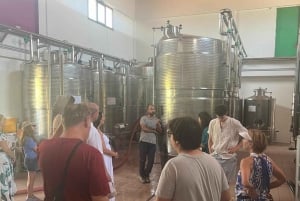 Sambuca di Sicilia: tour por la historia, los sabores y las tradiciones.