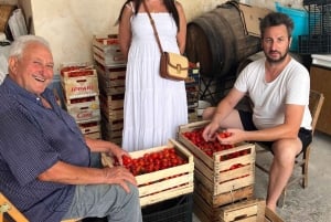 Sambuca di Sicilia: tour por la historia, los sabores y las tradiciones.