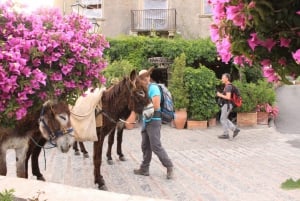 Savoca: Half-Day Donkey Riding and Godfather Tour