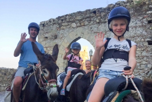 Savoca: Half-Day Donkey Riding and Godfather Tour