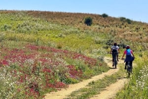 Scala Dei Turchi: E-BIKE TOUR Praias escondidas, mar, relaxamento [+SNORKELING ]