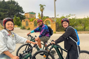 Scala Dei Turchi: E-BIKE TOUR Praias escondidas, mar, relaxamento [+SNORKELING ]