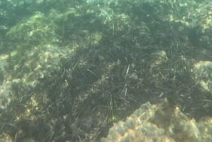 Scala Dei Turchi: E-BIKE TOUR Praias escondidas, mar, relaxamento [+SNORKELING ]