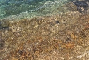 Scala Dei Turchi: E-BIKE TOUR Praias escondidas, mar, relaxamento [+SNORKELING ]