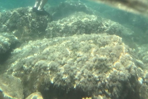 SCALA DEI TURCHI IM KAJAK – Abenteuer auf dem Meer mit Lehrer