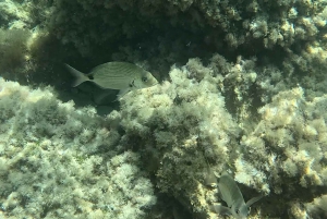 SCALA DEI TURCHI IM KAJAK – Abenteuer auf dem Meer mit Lehrer