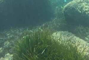 SCALA DEI TURCHI IM KAJAK – Abenteuer auf dem Meer mit Lehrer