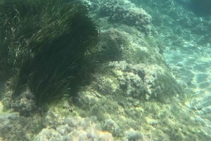 SCALA DEI TURCHI IM KAJAK – Abenteuer auf dem Meer mit Lehrer