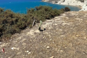 Scala dei Turchi: Passeio por belas praias com aperitivo