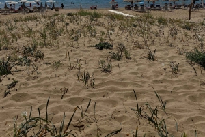 Scala dei Turchi: Passeio por belas praias com aperitivo