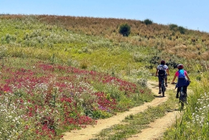 Scala dei Turchi, Dörfer und Streetfood: ein sizilianisches E-Bike-Abenteuer!
