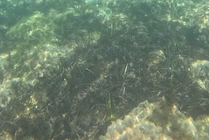 Scala dei Turchi, Dörfer und Streetfood: ein sizilianisches E-Bike-Abenteuer!