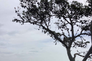 Scala Dei Turchi: E-BIKE TOUR Praias escondidas, mar, relaxamento [+SNORKELING ]