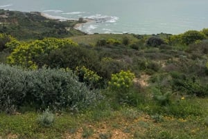 Scala Dei Turchi: E-BIKE TOUR Praias escondidas, mar, relaxamento [+SNORKELING ]