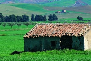 Scenic Tour of Etna foot hills and Alcantara Gorges