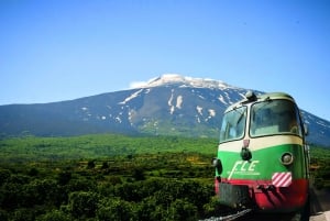 Scenic Tour of Etna foot hills and Alcantara Gorges